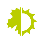 VERDE.png